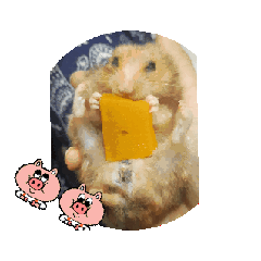 皮皮的吃吃