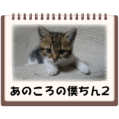 yh_20250320162615