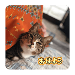 asuka_20250321035801