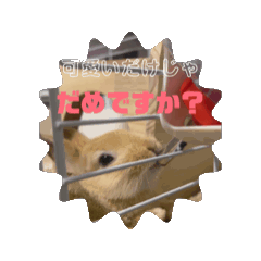take_20250320184712