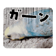 UMI_20250320193125