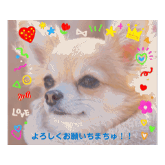 lovely greeting words