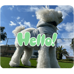 popcoon.cy_20250320151539