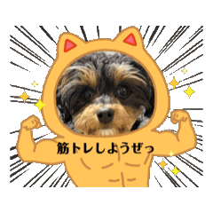 Honoka_20250320234231
