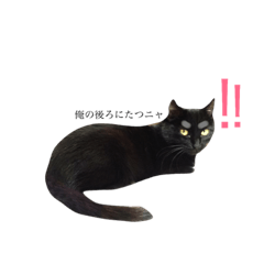 hamumeow