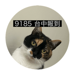 Yyy1134