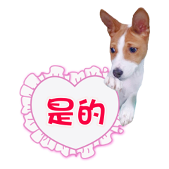 我是Telly 愛調皮2