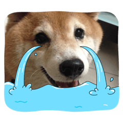 Min的貼圖