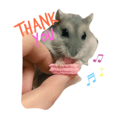 Stamp of hamster Chiro