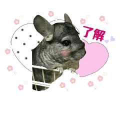 HARUNA STANP