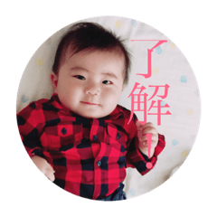 shoyagao