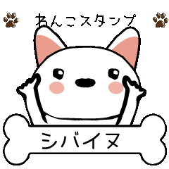 shibainu (WHITE) part1