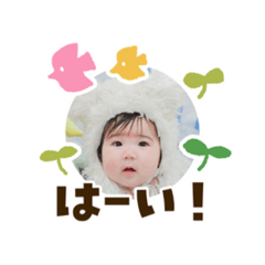 yahman_20250320211028