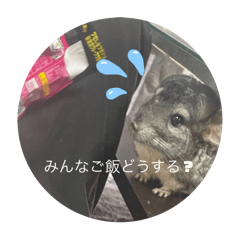 yama_20250320211530