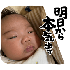 Lily_20250320210425