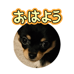 saori_20250320212030