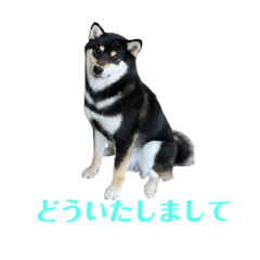 Keiko_20250320155230