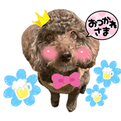 mimi_20250320190704