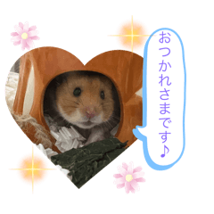 Mie_20250320171905