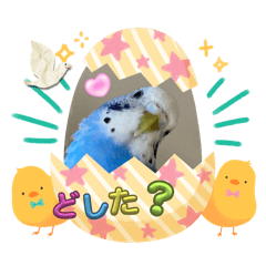 YUMI_20250320205911