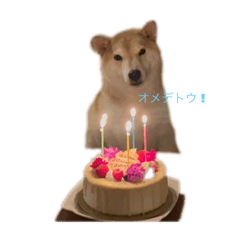 hahaha_20250320205941