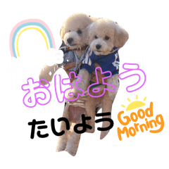 kao_20250320230657