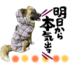 miki_20250320174720