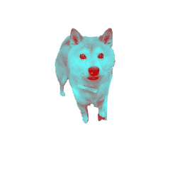 nami_20250320192244
