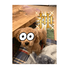 Jun_20250320193940