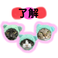 RIKO_20250321001625