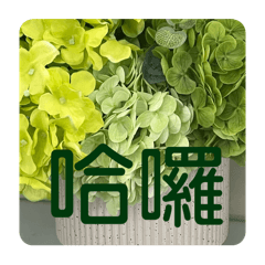 春來了.安博