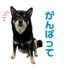 kurumi_20250320225220