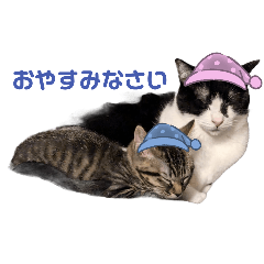 moka_20250320225031