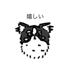 nekoten_20250321000447