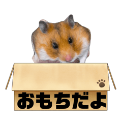 yuki_20250320212423