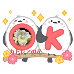 kazuookawa_20250321092055