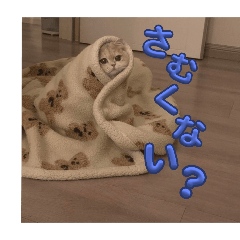 Yuzu_20250321114014