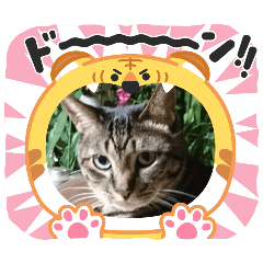 hiroko_20250321115405
