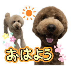 yumi_20250321115246