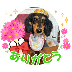 satomel