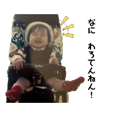 PICORIN_20250321140534