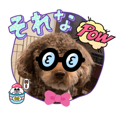 mimi_20250321113227