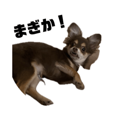 Mei_20250321131046