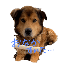 ruka_20250321134450