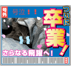 aoi_20250321140233