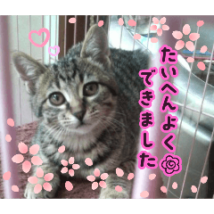 hiroko_20250321140517