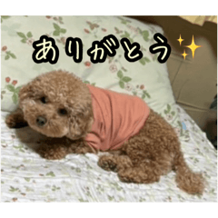 Yuto_20250321144457