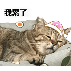 偷mo一下