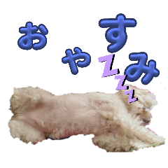 nk_20250321152951