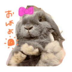 mayu_20250321151616